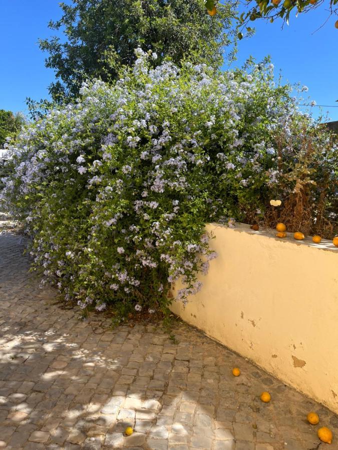 Vila Quinta Da Layla Olhão Exteriér fotografie